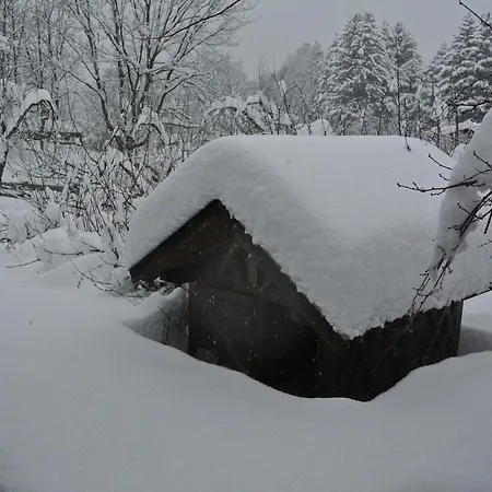 Jausenstation Vogelhutte Innsbruck