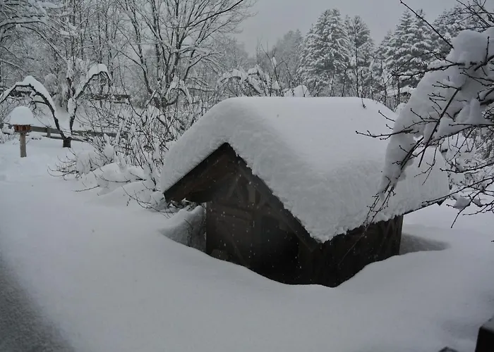Jausenstation Vogelhütte Innsbruck
